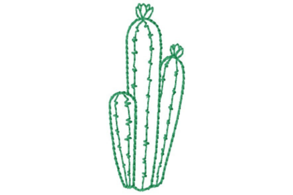 Cactus Group Outline: A Designer’s Review